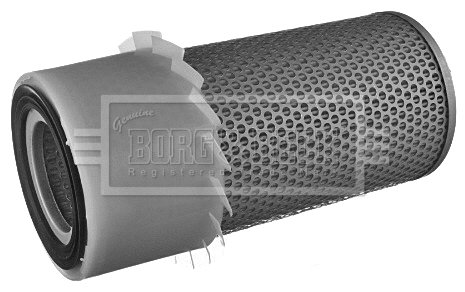 Air Filter (BFA2219)
