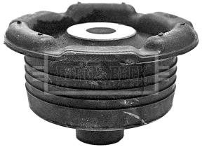 Bushing, axle bracket (BSK6355)
