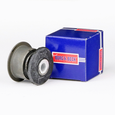 Mounting, control/trailing arm