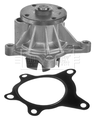 Water Pump, engine cooling (BWP2277)