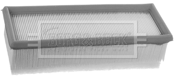 Air Filter (BFA2449)