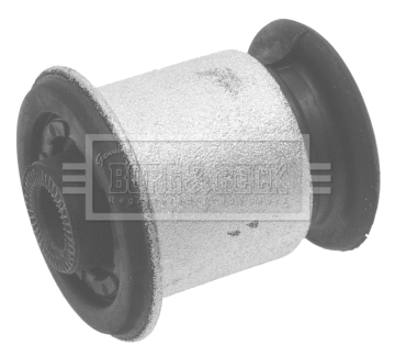 Mounting, control/trailing arm (BSK6977)