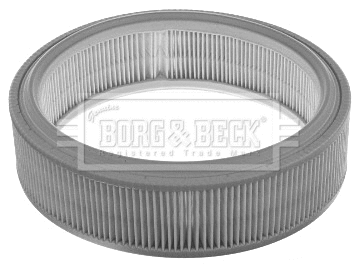 Air Filter (BFA2373)
