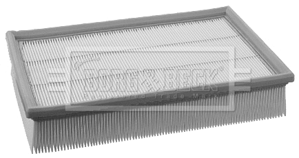 Air Filter (BFA2019)
