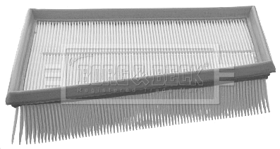 Air Filter (BFA2010)