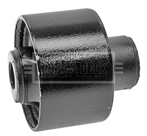 Mounting, control/trailing arm (BSK7344)
