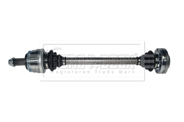 Drive Shaft (BDS1193)