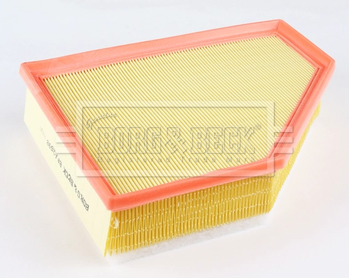 Air Filter (BFA2698)