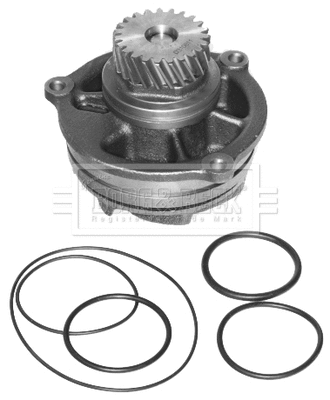 Water Pump, engine cooling (BWP32720)