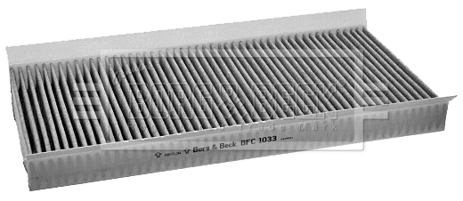 Filter, cabin air (BFC1033)