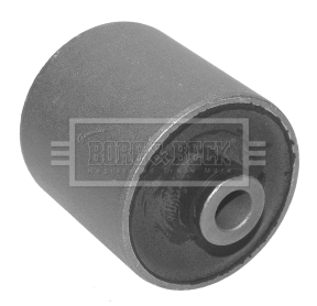 Mounting, control/trailing arm (BSK6466)