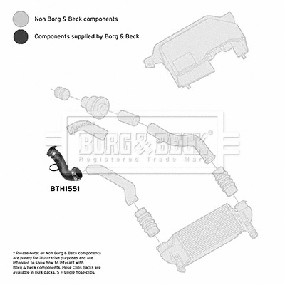 Charge Air Hose (BTH1551)