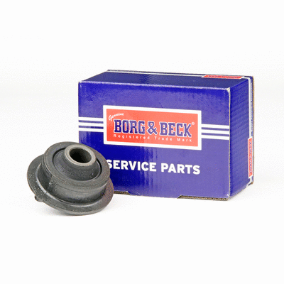 Mounting, control/trailing arm