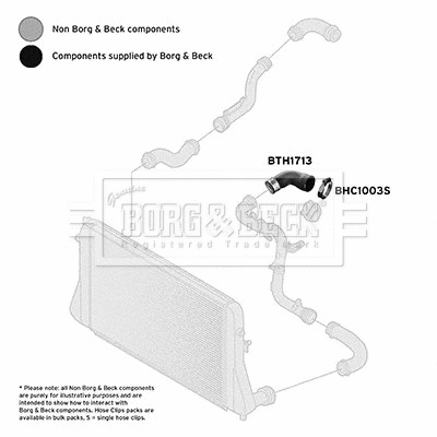 Charge Air Hose (BTH1713)