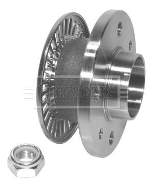 Wheel Bearing Kit (BWK645)