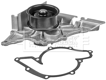 Water Pump, engine cooling (BWP1698)