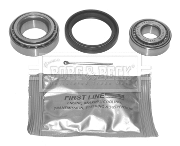 Wheel Bearing Kit (BWK434)