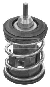 Thermostat, coolant (BBT488)