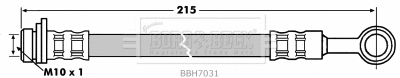 Brake Hose (BBH7031)