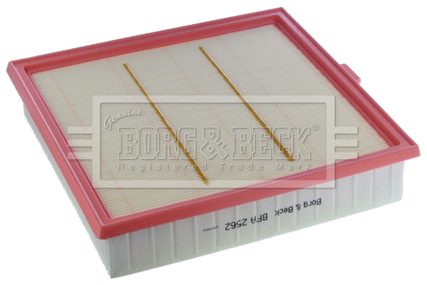 Air Filter (BFA2562)