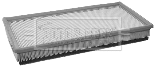 Air Filter (BFA2175)