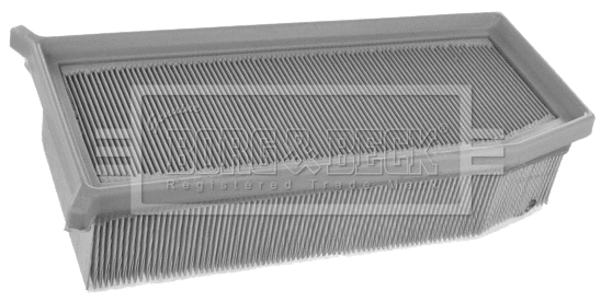 Air Filter (BFA2421)