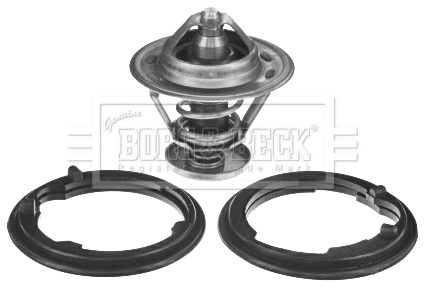 Thermostat, coolant (BBT426)