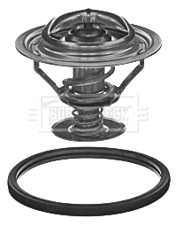 Thermostat, coolant (BBT364)
