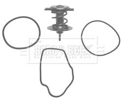 Thermostat, coolant (BBT059)