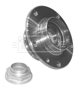 Wheel Bearing Kit (BWK265)