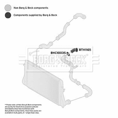 Charge Air Hose (BTH1165)