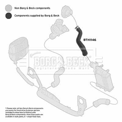 Charge Air Hose (BTH1146)