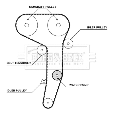 Water Pump & Timing Belt Kit (BTW1008)