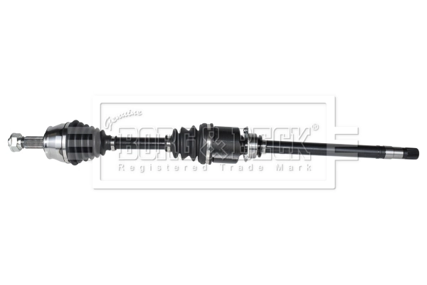 Drive Shaft (BDS1318)