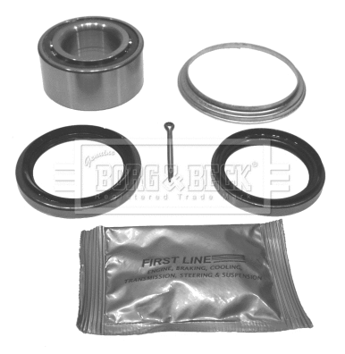 Wheel Bearing Kit (BWK120)