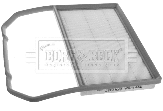Air Filter (BFA2467)