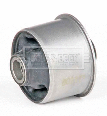 Mounting, control/trailing arm (BSK6402)