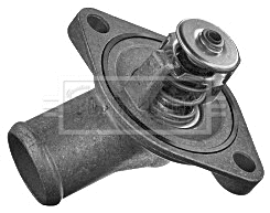 Thermostat, coolant (BBT241)
