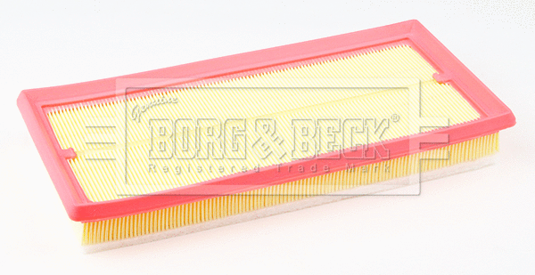 Air Filter (BFA2675)