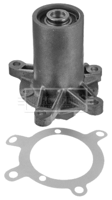 Water Pump, engine cooling (BWP1240)