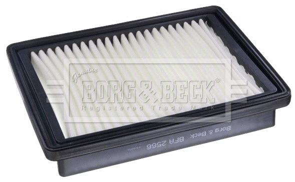 Air Filter (BFA2566)