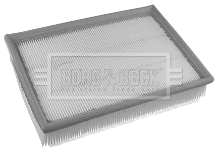 Air Filter (BFA2365)
