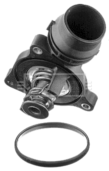 Thermostat, coolant (BBT186)