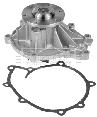 Water Pump, engine cooling (BWP32730)