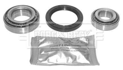 Wheel Bearing Kit (BWK569)