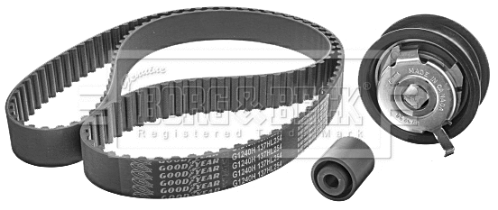 Timing Belt Kit (BTK1008)