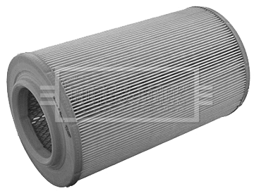 Air Filter (BFA2065)