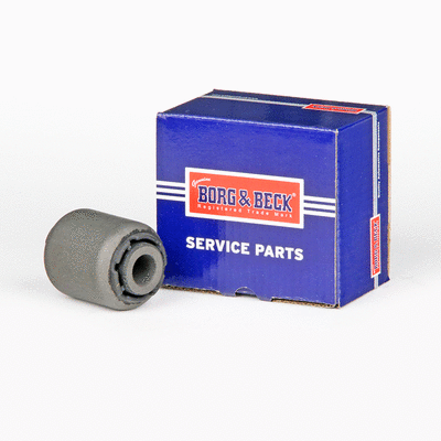 Mounting, control/trailing arm