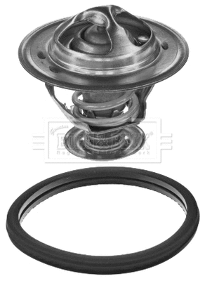 Thermostat, coolant (BBT370)