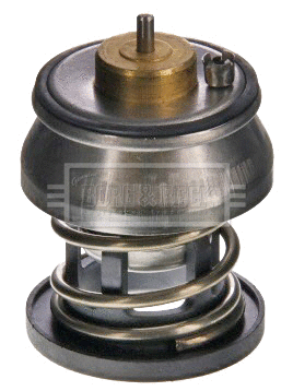 Thermostat, coolant (BBT531)